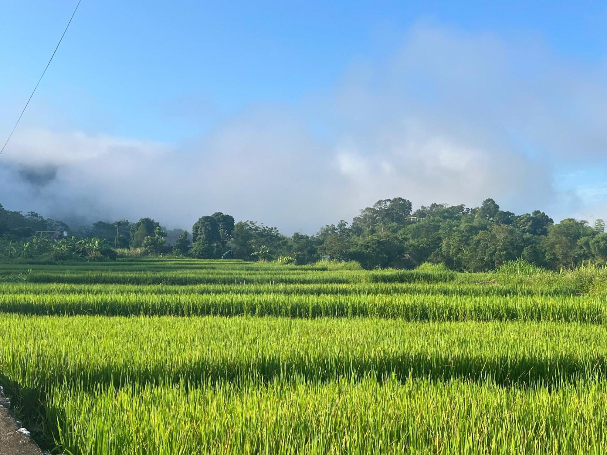Lake House Hà Giang Ngoại thất bức ảnh
